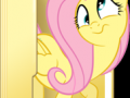 custom_fluttershy_folder_icon_2_by_blues27xx-d519m8v.png